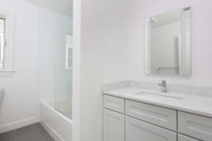 Bathroom in Condo Renovation in Newton, MA
